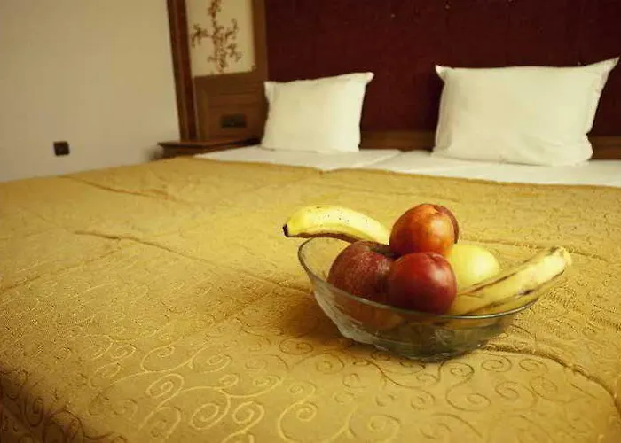 酒店 Bulgaria Star 普罗夫迪夫